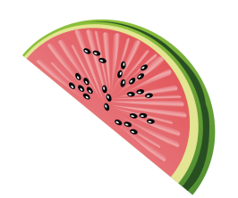 Icoon watermeloen
